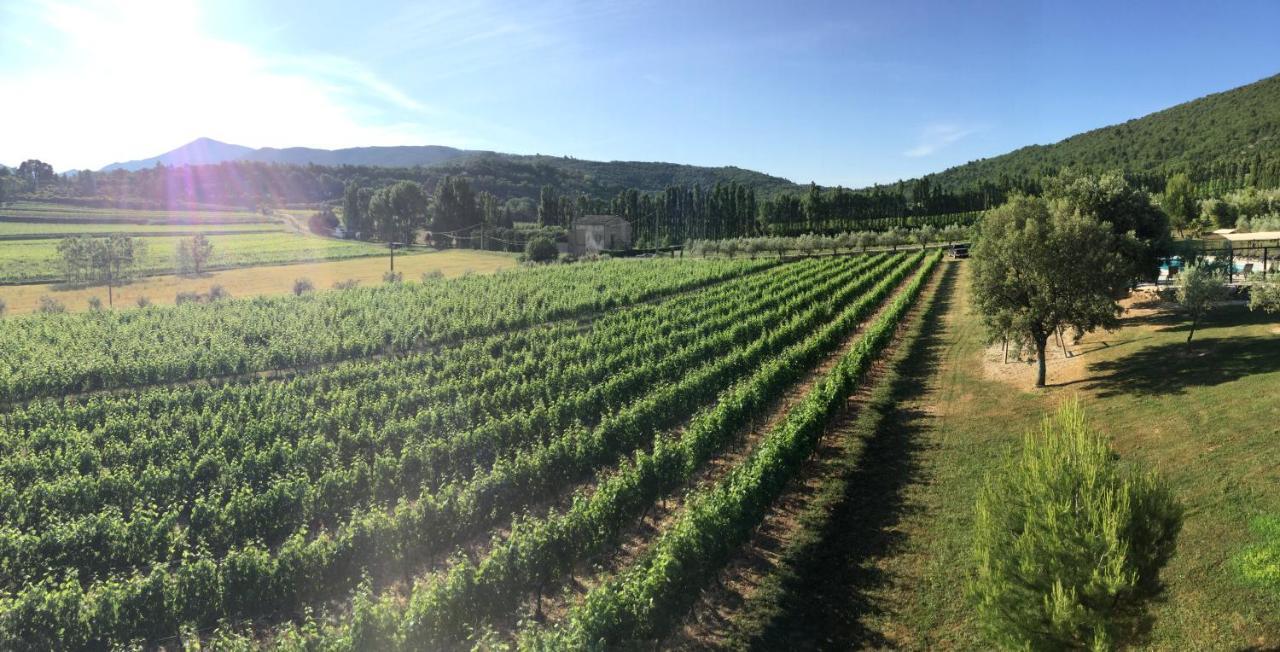 Malaucène Les Gites Du Clos Saint Michel & Spa מראה חיצוני תמונה