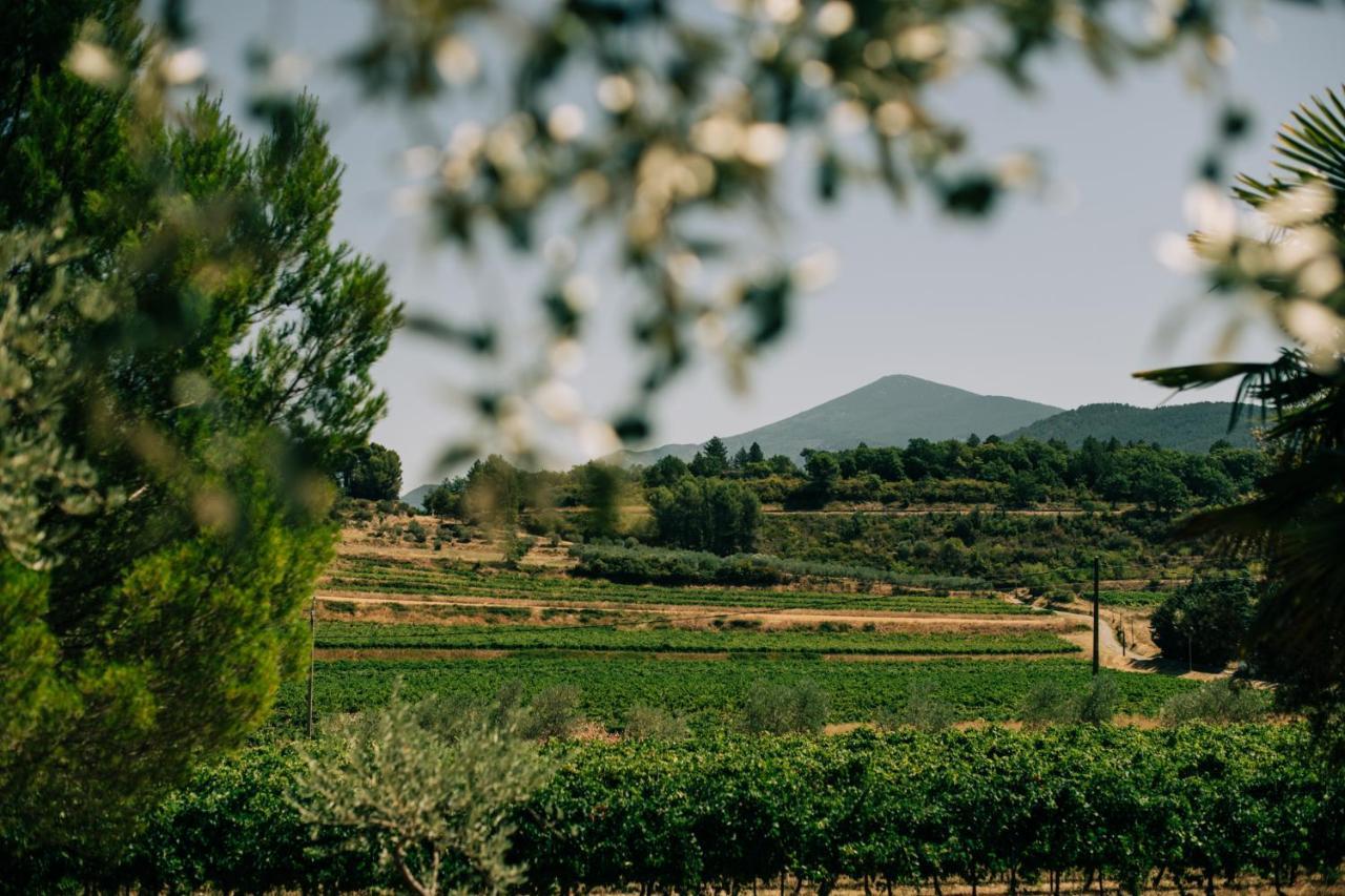 Malaucène Les Gites Du Clos Saint Michel & Spa מראה חיצוני תמונה