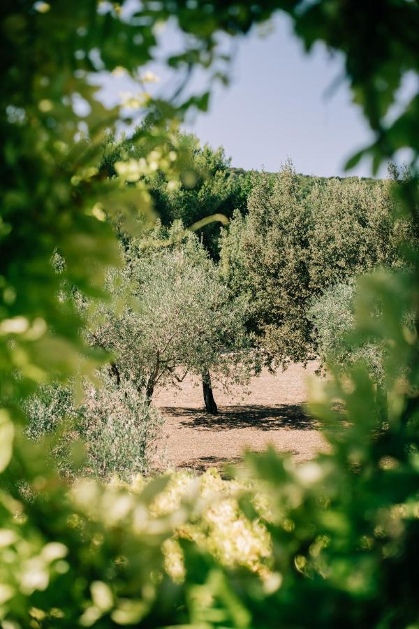 Malaucène Les Gites Du Clos Saint Michel & Spa מראה חיצוני תמונה