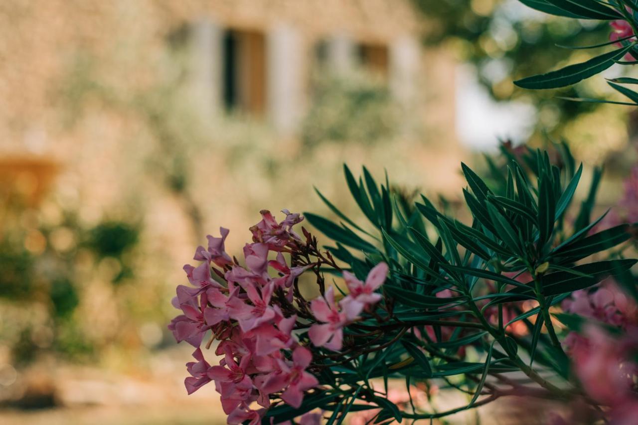 Malaucène Les Gites Du Clos Saint Michel & Spa מראה חיצוני תמונה